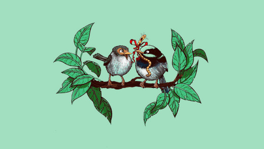 1515288 (a): :1920x1080